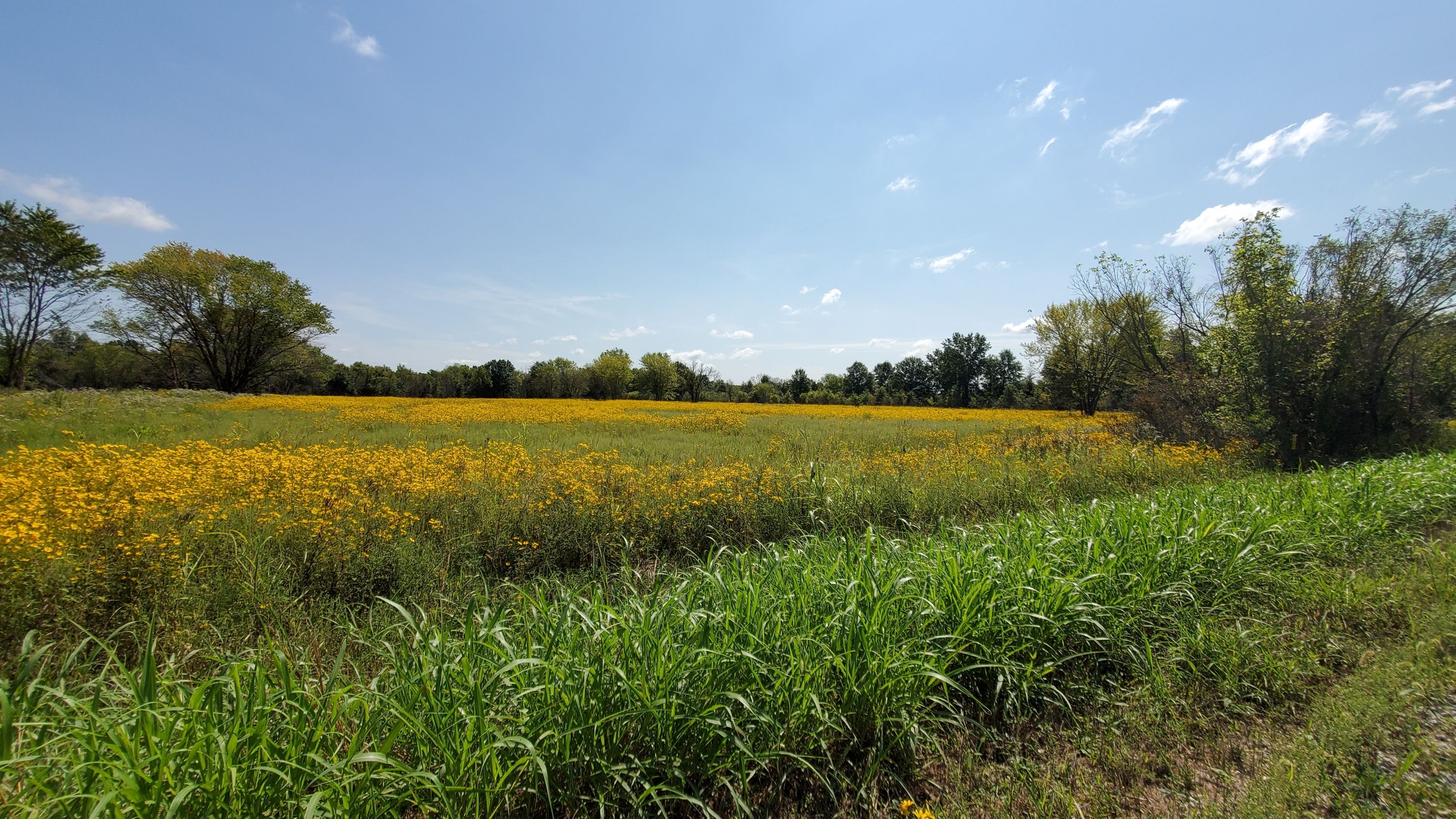 Missouri